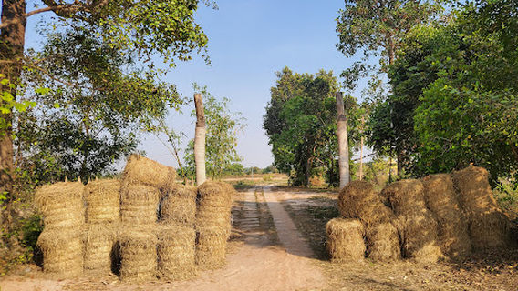 Prasat Bakong