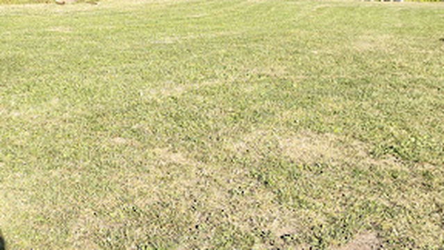 DJK-SV Oberpfraundorf