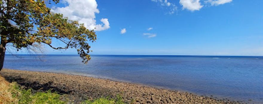 Beach Sohoa
