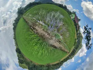 Bald Hill Nature