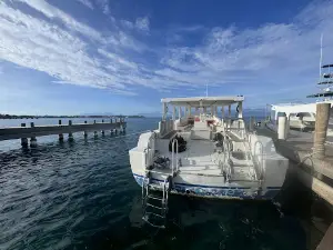Bay Islands College of Diving