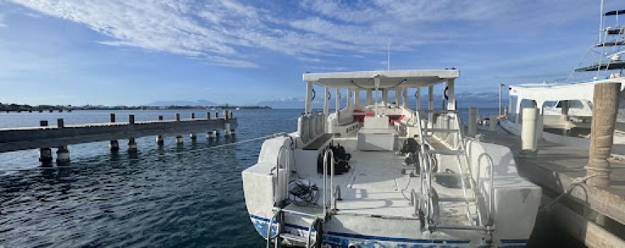 Bay Islands College of Diving