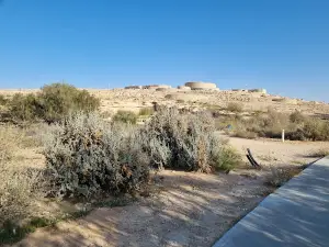 Bio Ramon - Living Desert Museum
