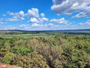 Pákozdi Pagony Vadaspark és Arborétum