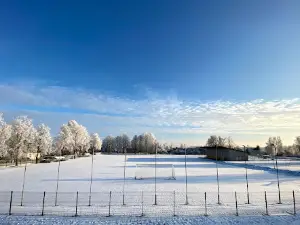 Gostiņu stadions