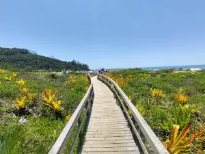 Praia da Ferrugem