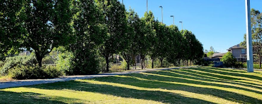 Jonas Bradley Oval
