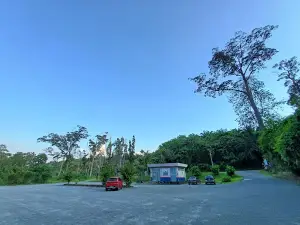 Lata Kekabu