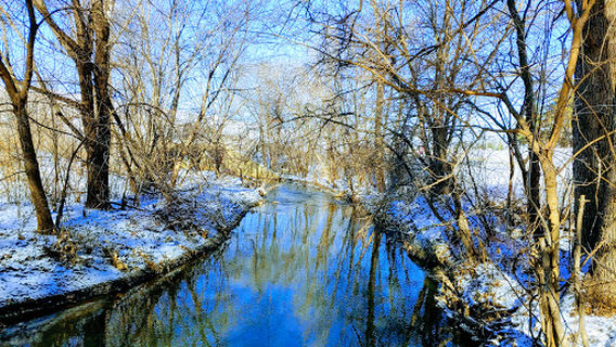 Cedar Falls Paw Park
