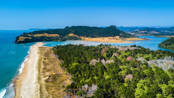 Opoutere Beach