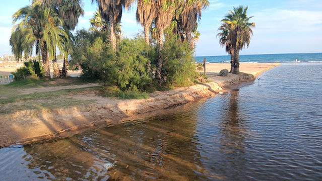 Pratja d’en Forès