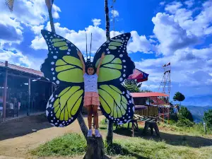 Mirador turístico cerro campana