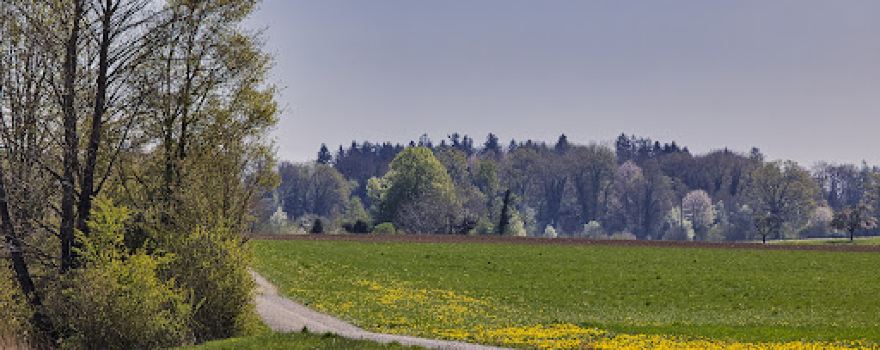 Bommer Weiher