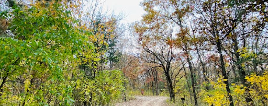 Ann Lake Campground
