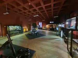 Muzeum Historyczne-Pałac w Dukli