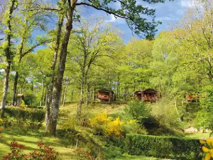 Camping de la Meteorite