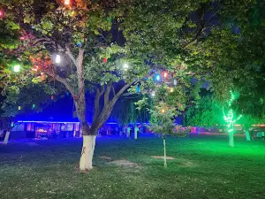 Çınaraltı Picnic Area