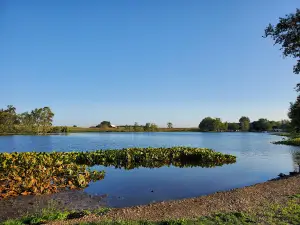 Lakeview Campground