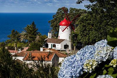 Red Peak Mill