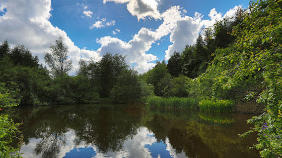 Wooler Common