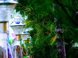 Shrikant Lawn And Hall