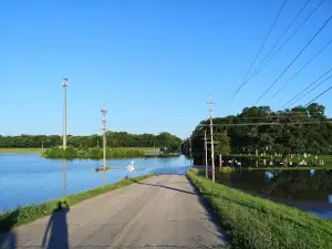 Wallace Park