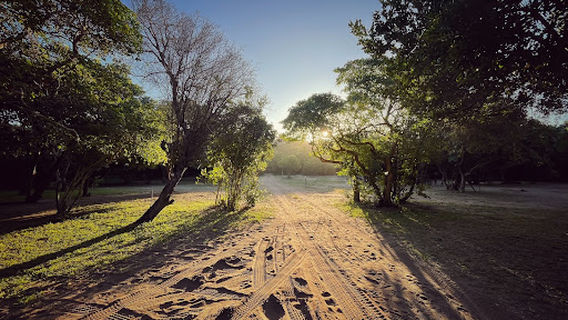 Actupo Camping Ponta