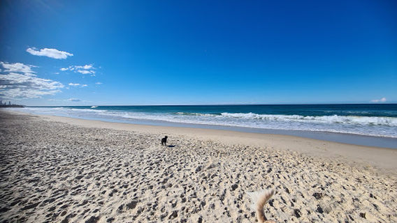 Tallebudgera Offleash Dog Beach - No Fence