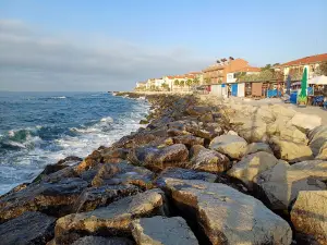 Ayancık Sahili