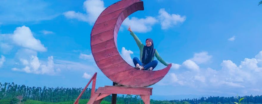 Kebun Teh Kertowono Gucialit Lumajang