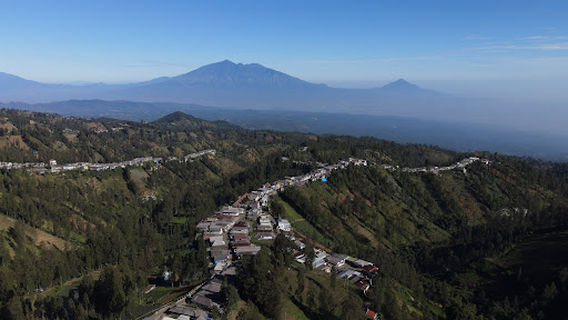 Tosari