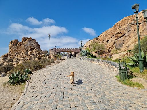 Fuerte Lambert Coquimbo