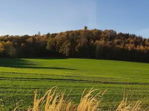 Wieża widokowa na górze Zawodna 445 m n.p.m. (m.Gozdno)