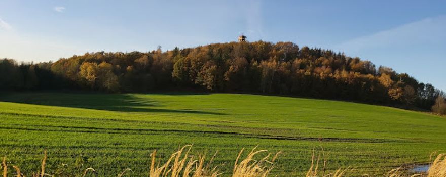 Wieża widokowa na górze Zawodna 445 m n.p.m. (m.Gozdno)