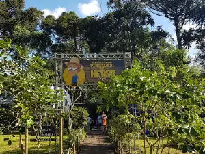 Amazon Club