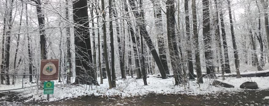 Monsey Glen County Park