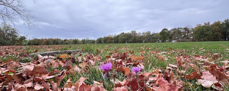 Blue Mound Campground