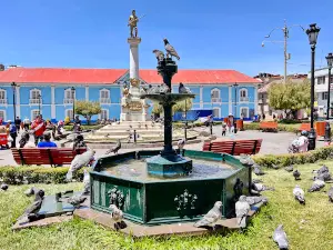 Pino Park