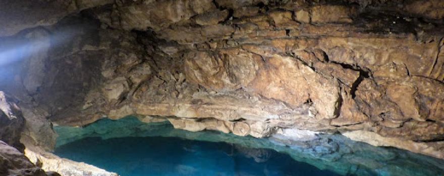 Reserva Estatal Geohidrológica Anillo de Cenotes