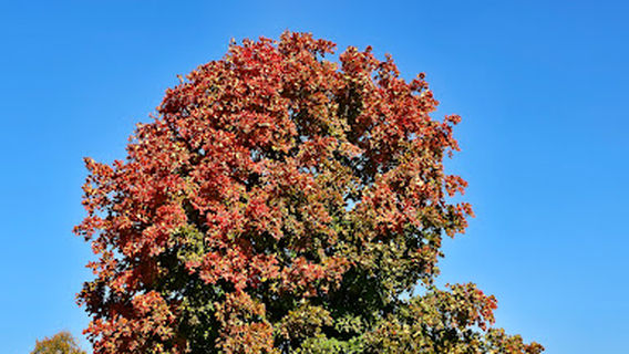 Eastern Regional Park