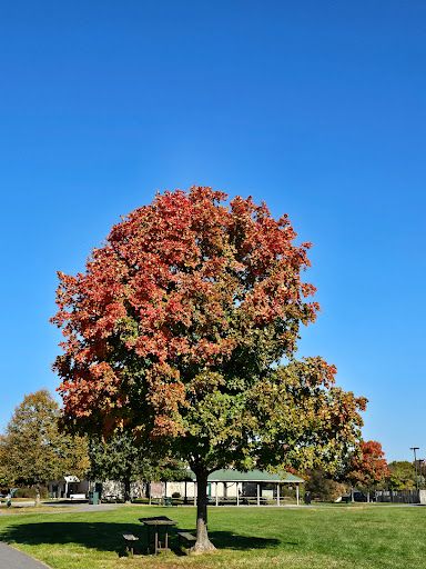 Eastern Regional Park