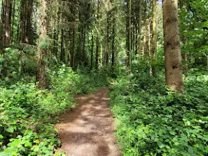 Gåsebjerg Sand Natureplayground