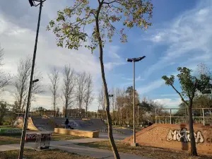 Skate Park