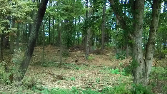 Mark Twain National Forest (Potosi Office)
