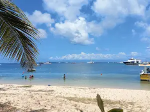 Plongée Marie Galante Manbalaou