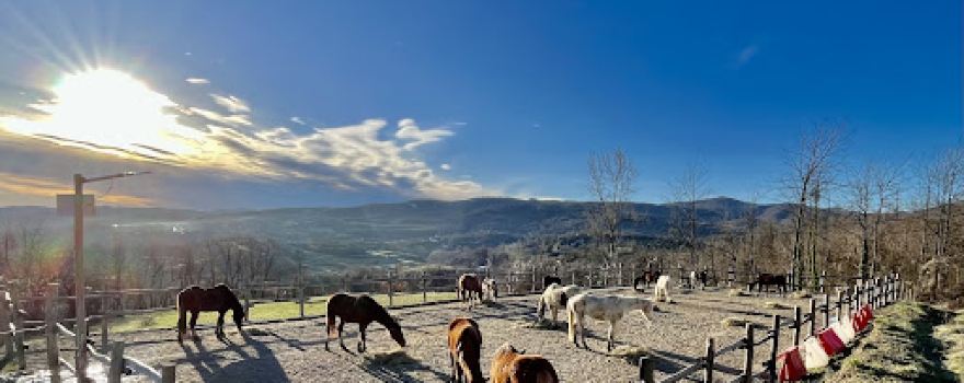 A.S.D. Cascina Aiassa- Az. AGRICOLA Repetto GAIA Elena