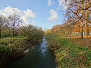 Dümmert Park
