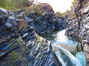 Salto Los Pellines