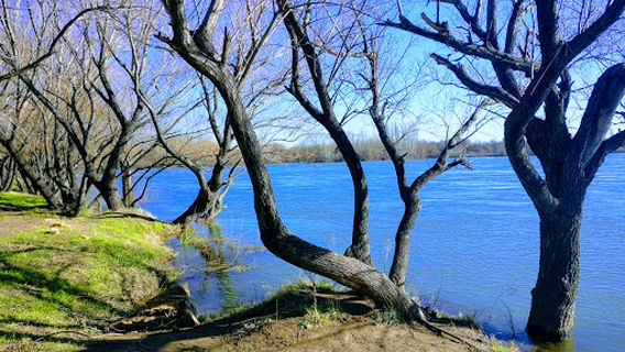 Balneario Rupanco