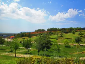 Bayrak Tepe Mesirelik Alanı